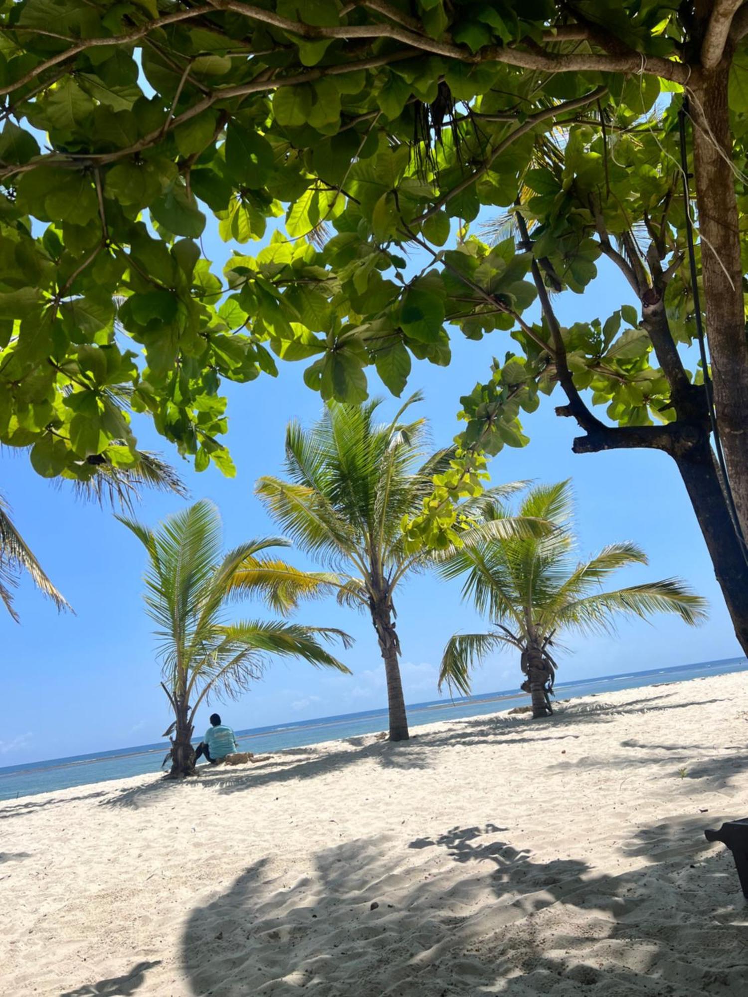 Waves And Wanderlust-Diani Beach Exterior foto
